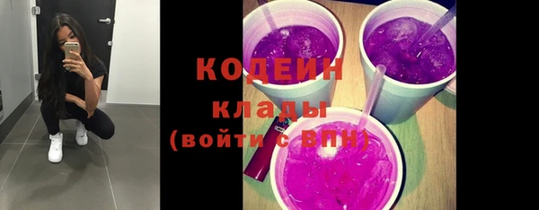 ГАЛЛЮЦИНОГЕННЫЕ ГРИБЫ Кодинск