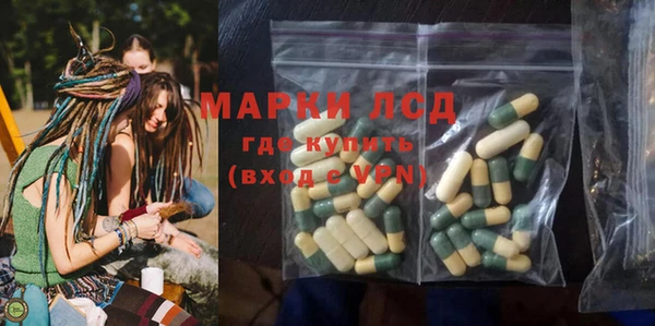ГАЛЛЮЦИНОГЕННЫЕ ГРИБЫ Кодинск