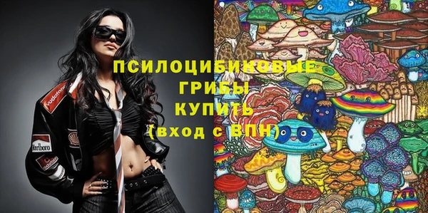 ГАЛЛЮЦИНОГЕННЫЕ ГРИБЫ Кодинск