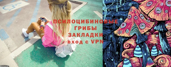 ГАЛЛЮЦИНОГЕННЫЕ ГРИБЫ Кодинск