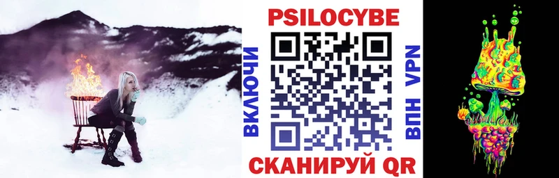 Купить закладки  Ветлуга  Галлюциногенные грибы GOLDEN TEACHER 